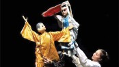 Art performance by China troupe at BSA tomorrow