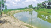 BMDA constructs 1080-km irrigation pipelines in Barind 