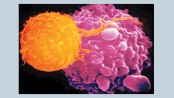Cancer spread cut by 75% in tests