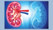 Causes and risk factors of acute renal failure