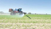 Chemical residues in food grains: A serious cause for concern 