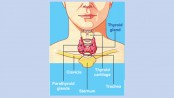 Common thyroid disorders and problems