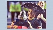 Del Potro clinches Mexican Open title 