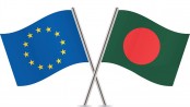 EU won’t send observers