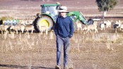 Despair as crippling drought hammers Australian farmers