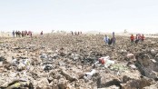 No survivors as Ethiopian plane crashes with 157 aboard