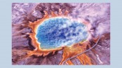 Extremophiles
