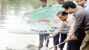 Fish fry released in water bodies 