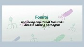 Fomite: A common object of transmission of infection