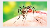 Govt prepared to check dengue, chikungunya diseases