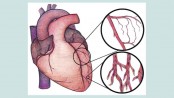 Heart failure : some vital information