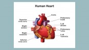 Heart imaging - is it helping or hurting your health?