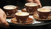 Heavy coffee drinkers show lower risk of multiple sclerosis