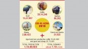 High feed prices hamper fattening of cows