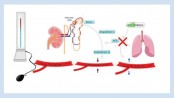 Hypertension: Preventive approaches