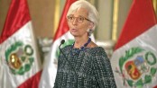 Now right moment for carbon tax: IMF chief