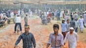 Thousands converge on Barisal Ijtema ground