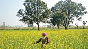 Indian election budget helps farmers, middle class 