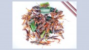 Insects as food? Selling them as 'tasty luxuries' might work