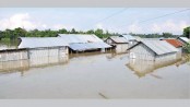 Jamuna unleashes fury on northern districts