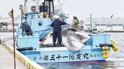 Japan resumes commercial hunt of whales