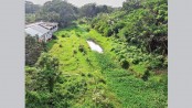 Govt plans to revive Jatrapur-Alaipur canal