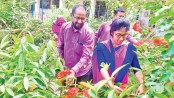 Gardening, beautification part of curriculum at Jhenidah PTI