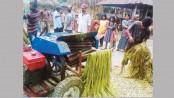 Jute fibre extracting machine revives cultivation