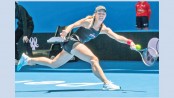 Kerber, Zverev shine for Germany