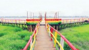 Khulna Sk Russel Eco-Park not ready yet, but drawing visitors
