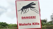 Super Malaria: Should We Be Worried