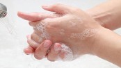 Antibacterial handwash no better than plain soap for fighting germs