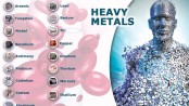 Metallic pollution in the food chain 