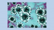 Mystery virus in Wuhan identified as novel coronavirus