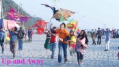 National Kite Festival 2016 