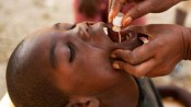 icddr,b hosts international working group meeting on cholera case management   
