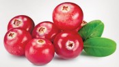 Cranberries help 
urinary tract infections, but not as juice