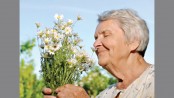 Decreased sense of smell may indicate early dementia