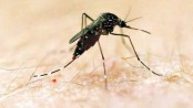 Serious threat from 
dengue fever