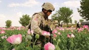 Afghanistan: At war with drugs