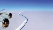Trillion-tonne iceberg breaks off Antarctica