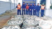 60 maunds of ‘jatka’ seized 