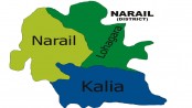 Narail District