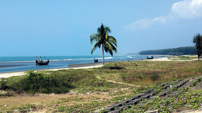 Experts for long-term policy