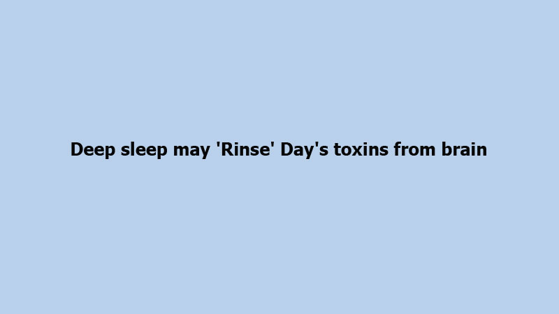 Deep sleep may 'Rinse' Day's toxins from brain