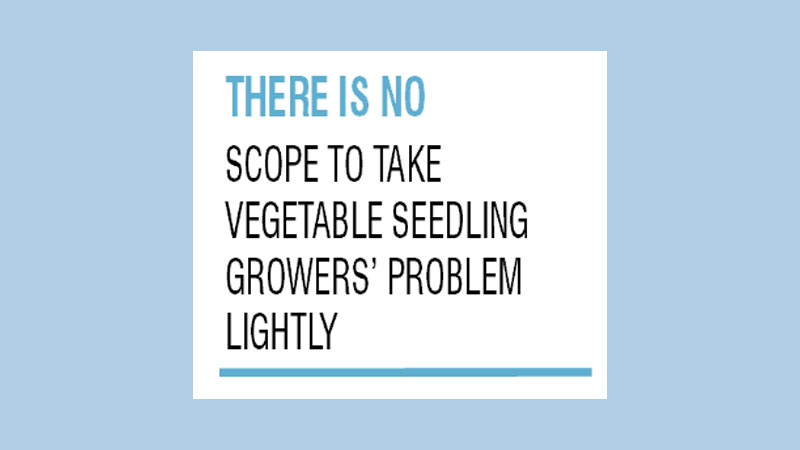 Solve vegetable seedling 
producers’ problem