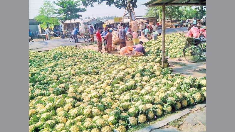Prices of vegetables fall 
as supply increases