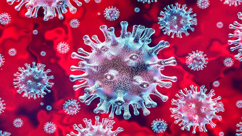 Bhutan’s remarkable success in fight against coronavirus pandemic