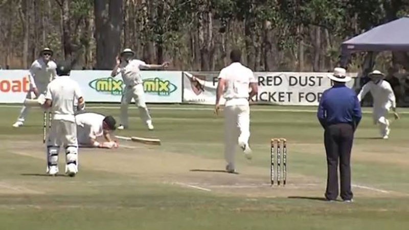 Warner hit by bouncer in warm-up match