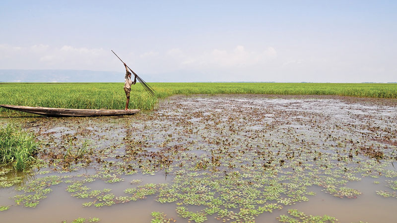 Protecting wetlands